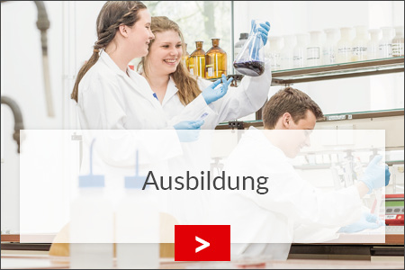 fz borstel ausbildung