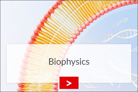 fz borstel biophysik