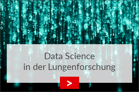 fz borstel data science