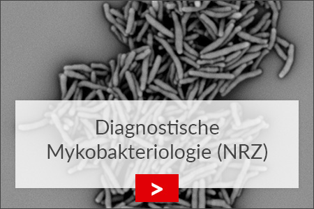 fz borstel diagnostische mykobakteriologie