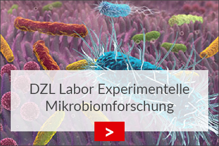 fz borstel dzl labor experiementelle mikrobiomforschung