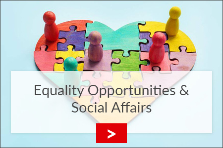 fz borstel equality opportunities and social affairs