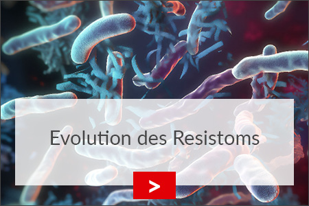 fz borstel evolution des resistoms