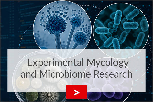 fz borstel experimental mycology