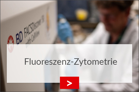 fz borstel fluoreszenz zytrometrie