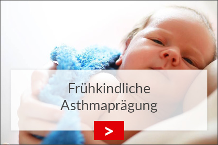 fz borstel fruehkindliche asthmapraegung