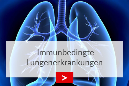 fz borstel immunbedingte lungenerkrankungen