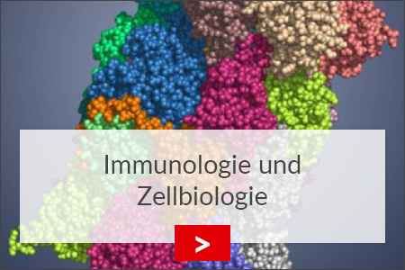 fz borstel immunologie und zellbiologie