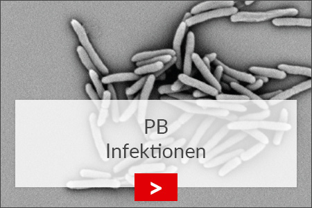 fz borstel pb infektionen