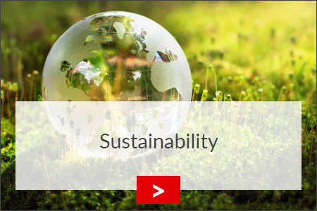 fz borstel sustainability