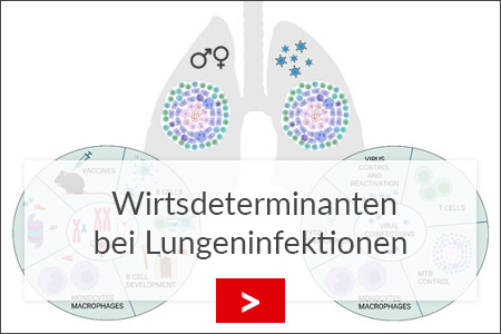 fz borstel wirtdeterminanten bei lungeninfektion