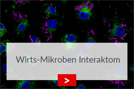 fz borstel wirts mikroben interaktom