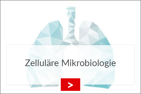 fz borstel zellulaere mikrobiologie